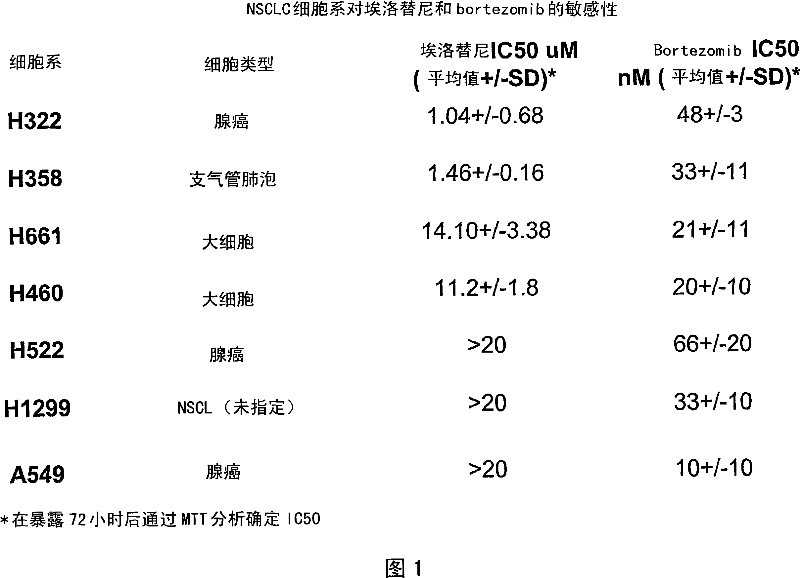 Combined treatment with bortezomib and an epidermal growth factor receptor kinase inhibitor