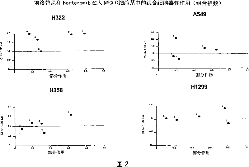 Combined treatment with bortezomib and an epidermal growth factor receptor kinase inhibitor