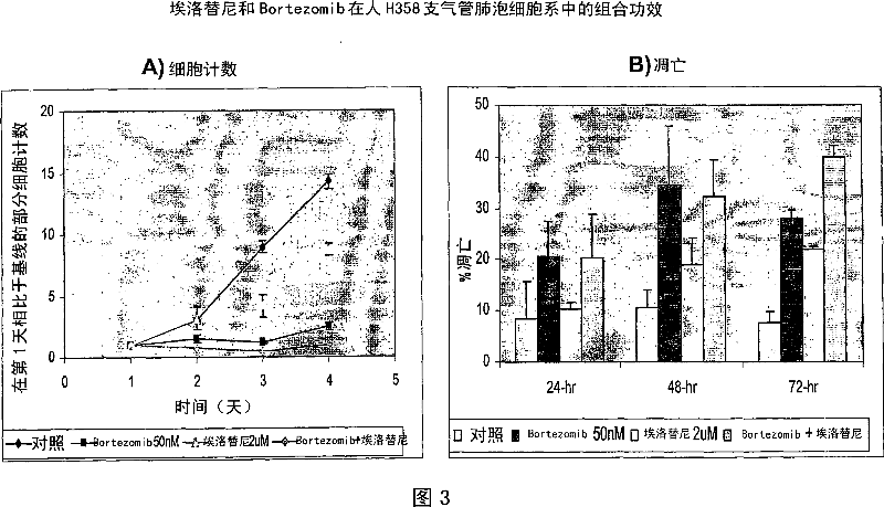 Combined treatment with bortezomib and an epidermal growth factor receptor kinase inhibitor