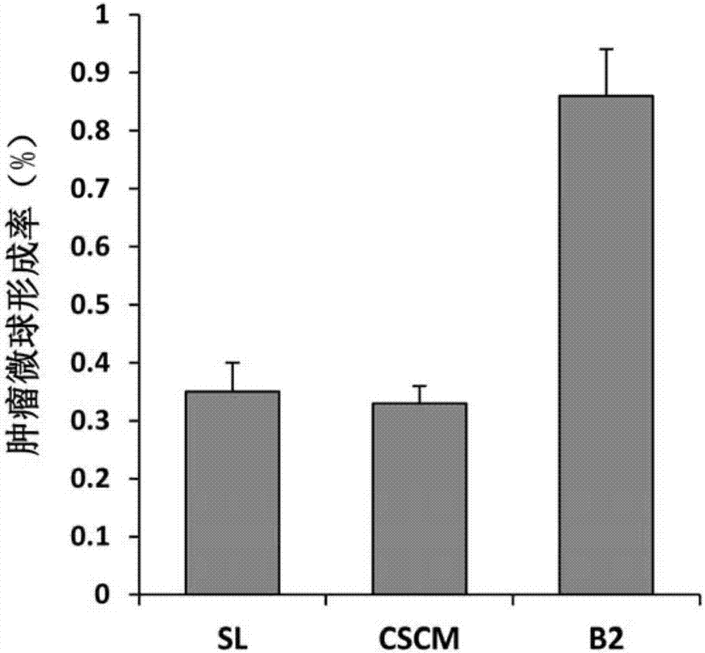 Serum-free tumor stem cell culture medium and application thereof