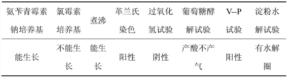 Bacillus pumilus strain and application thereof