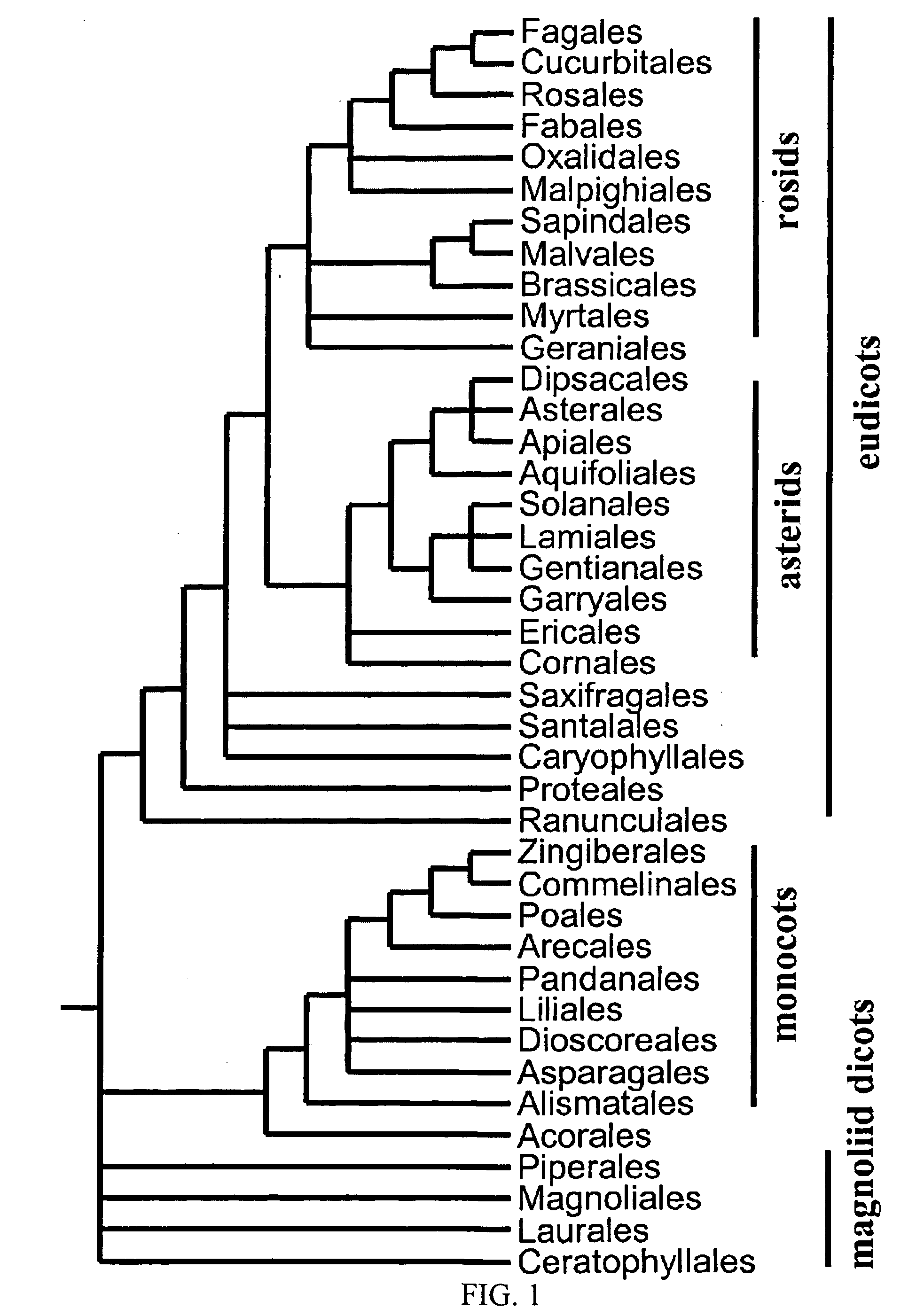 Biotic and abiotic stress tolerance in plants