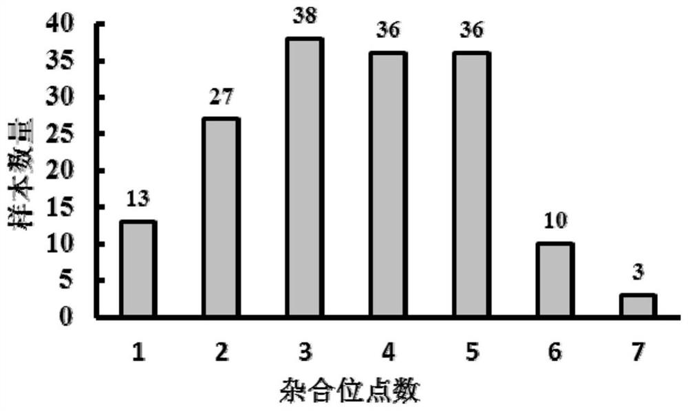 A SNP locus, primer set and application for identifying the purity of tomato hybrids