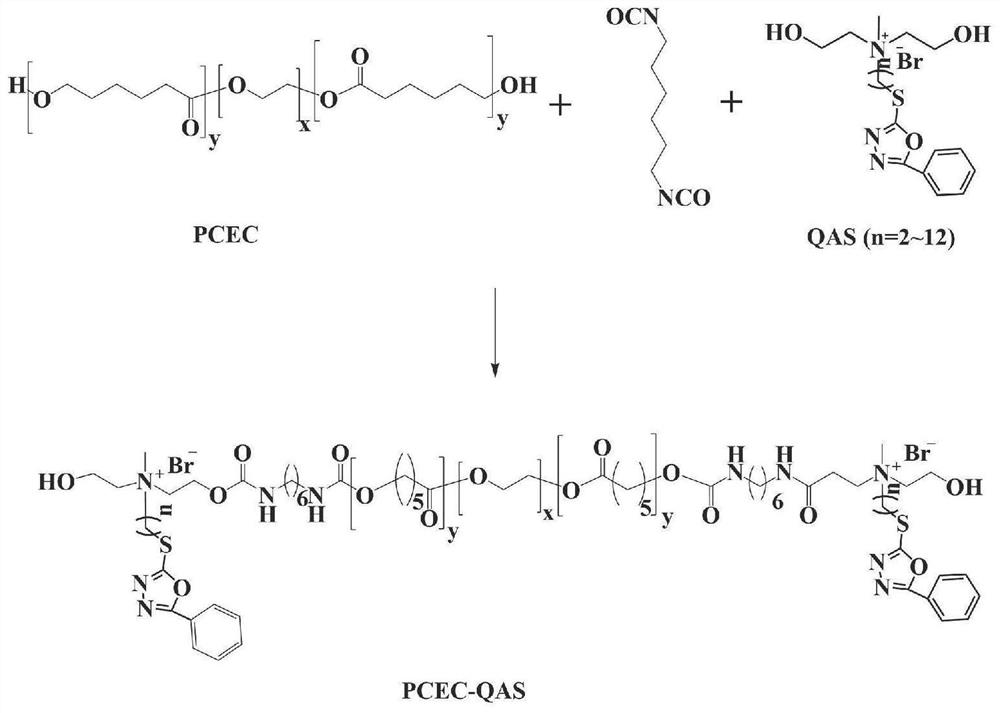 A nanogel with antibacterial and repairing properties, its preparation method and application