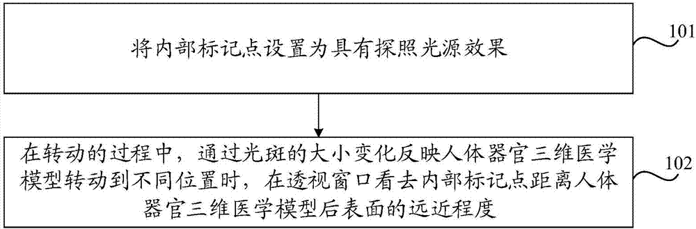 Method and device for displaying internal marker of human organ three-dimensional medical model