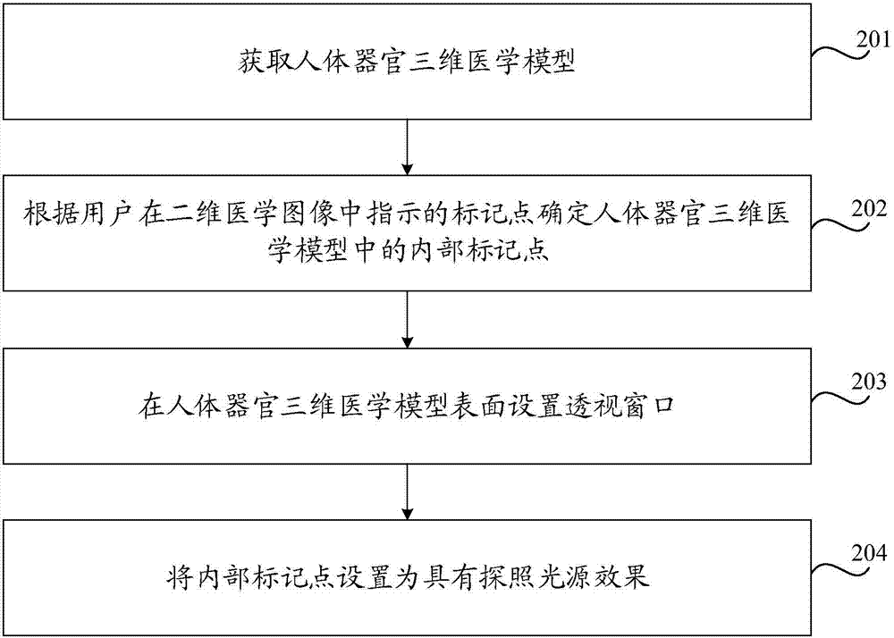 Method and device for displaying internal marker of human organ three-dimensional medical model