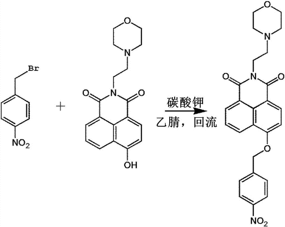 Fluorescence probe for detecting nitroreductase and application thereof