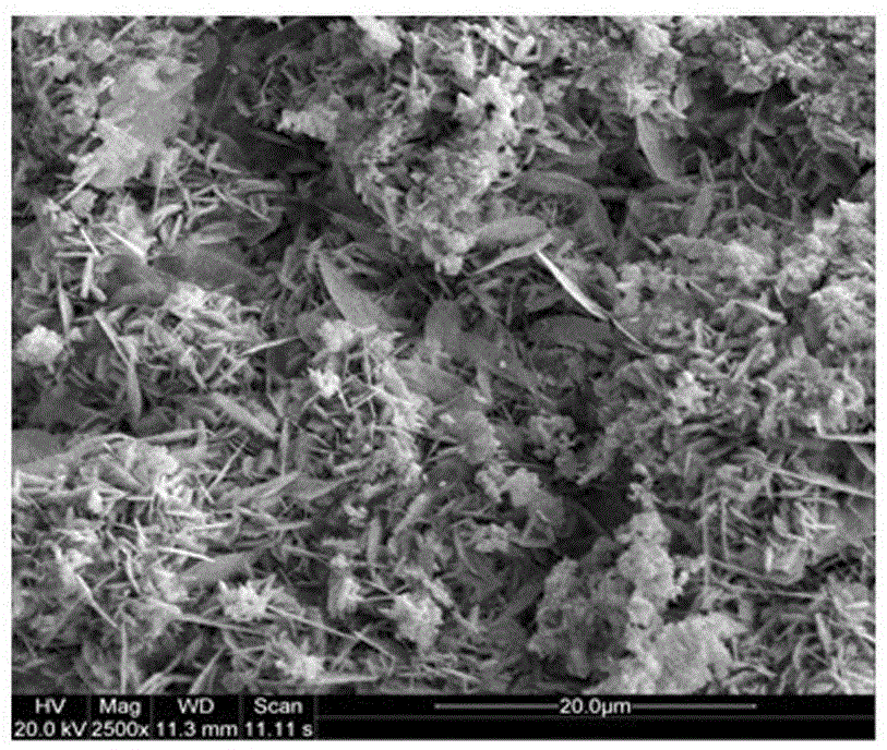 Preparation method of cathode active substance for lead carbon battery