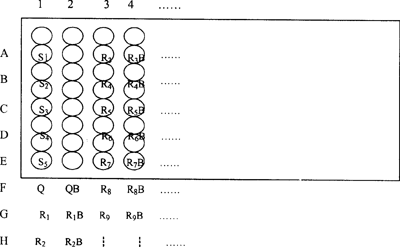 Seminal plasma neutral alpha-glucosidase quantitative detecting reagent, kit and preparing method thereof