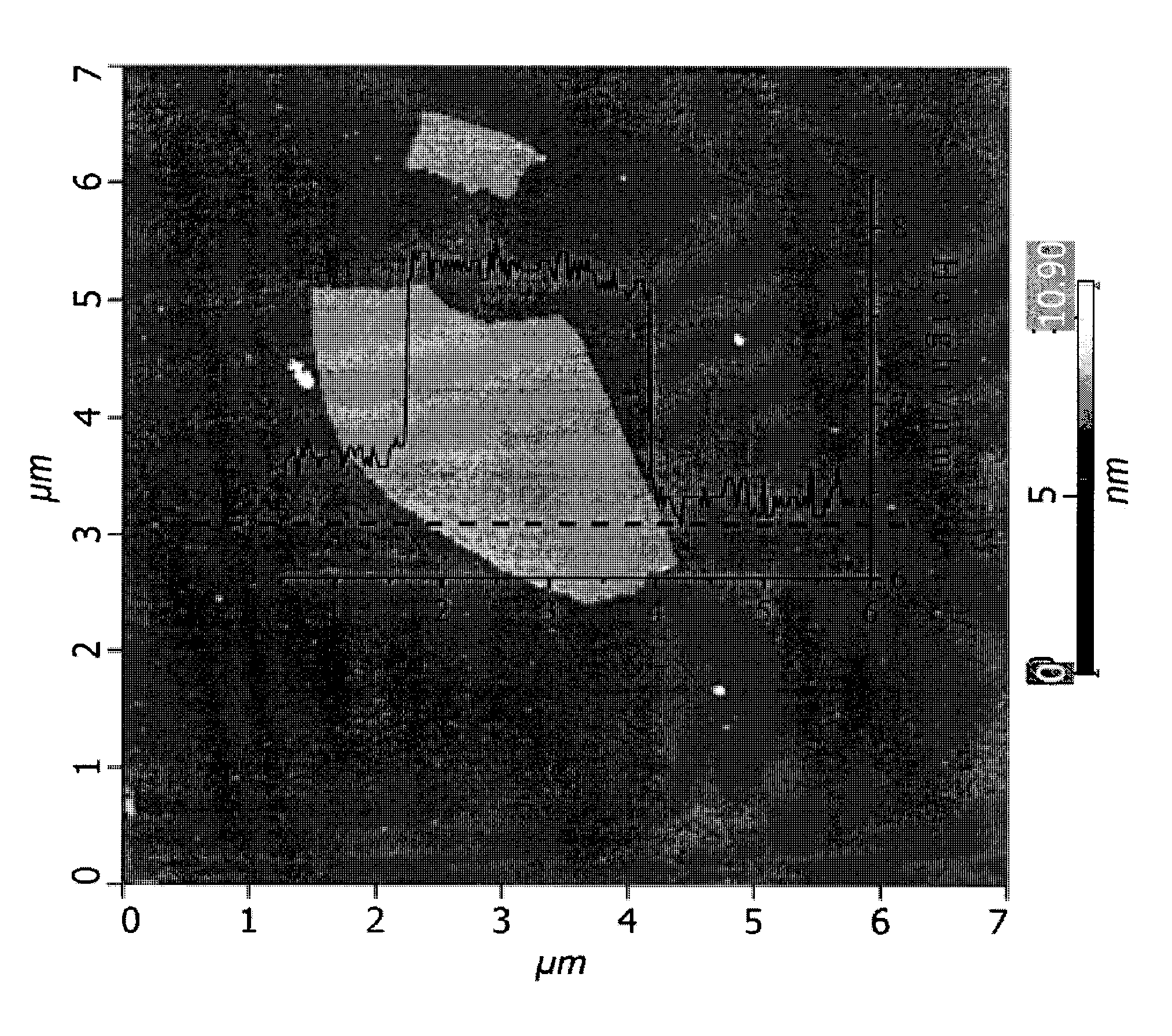 Method for making polymer composites containing graphene sheets