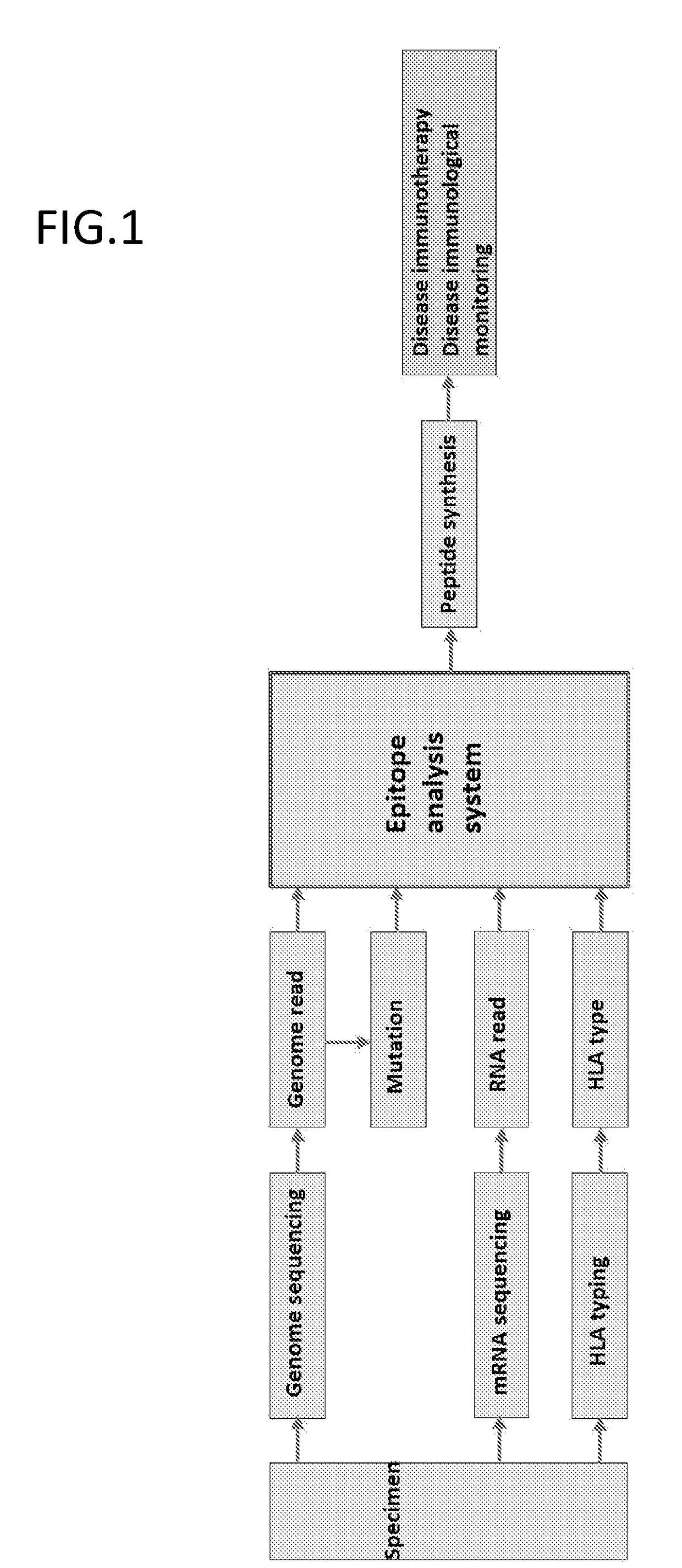 Monitoring and diagnosis for immunotherapy, and design for therapeutic agent