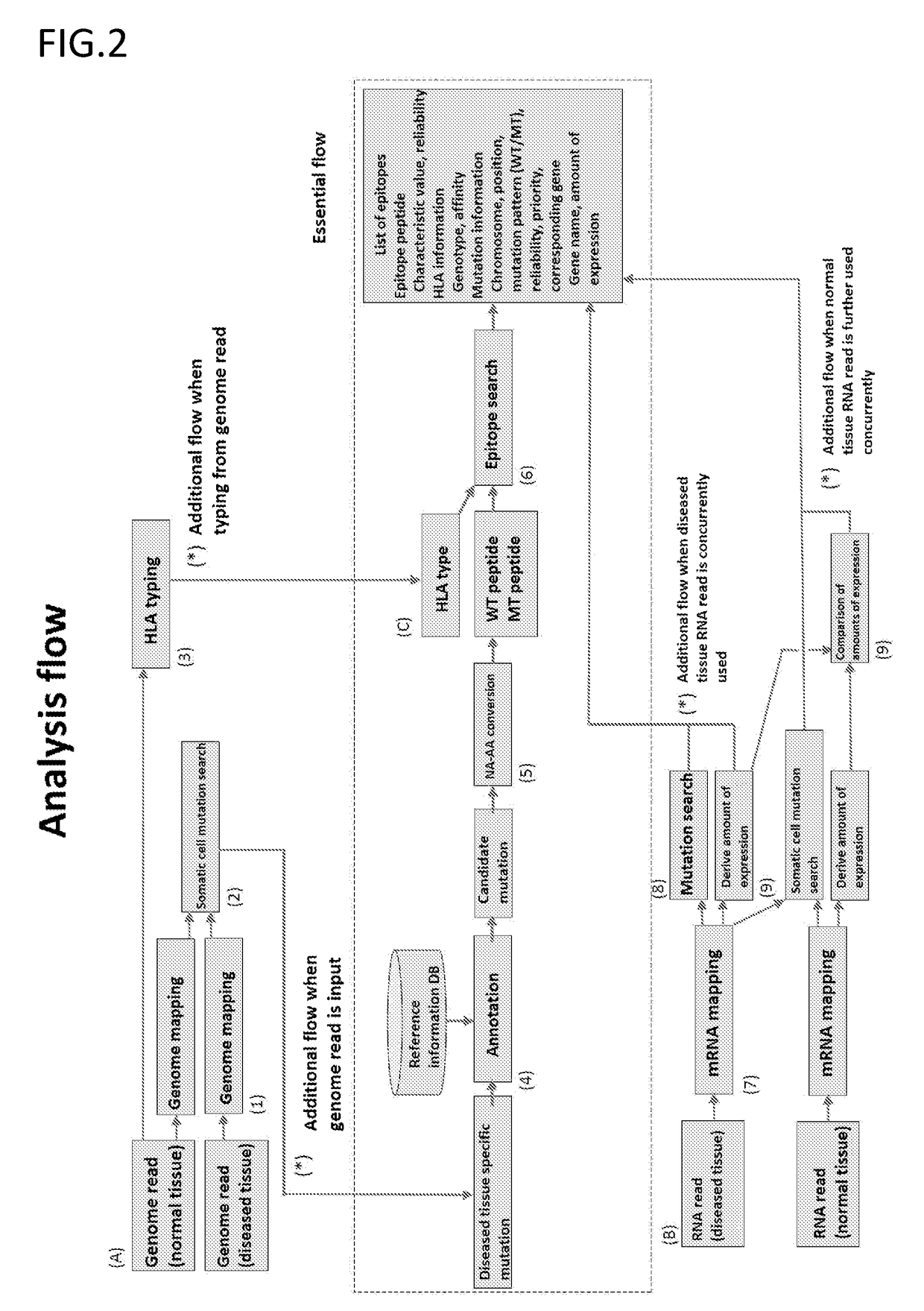 Monitoring and diagnosis for immunotherapy, and design for therapeutic agent