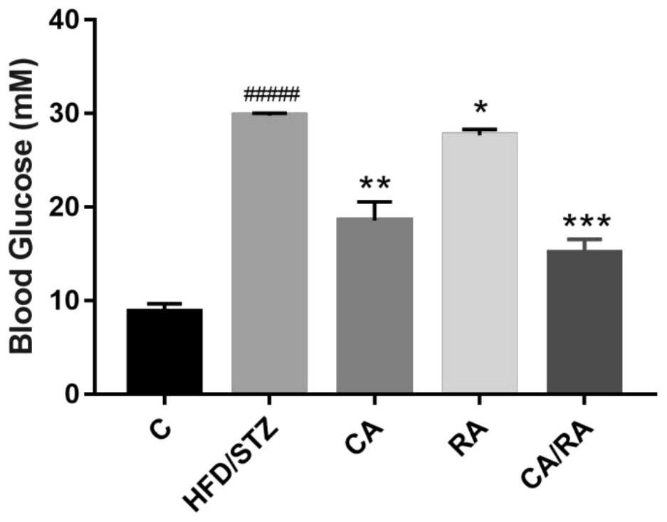 Use of carnosic acid and rosmarinic acid in joint preparation of medicine for preventing and treating type Ⅱ diabetic nephropathy