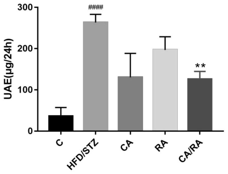 Use of carnosic acid and rosmarinic acid in joint preparation of medicine for preventing and treating type Ⅱ diabetic nephropathy