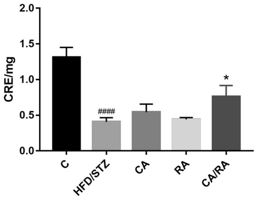 Use of carnosic acid and rosmarinic acid in joint preparation of medicine for preventing and treating type Ⅱ diabetic nephropathy