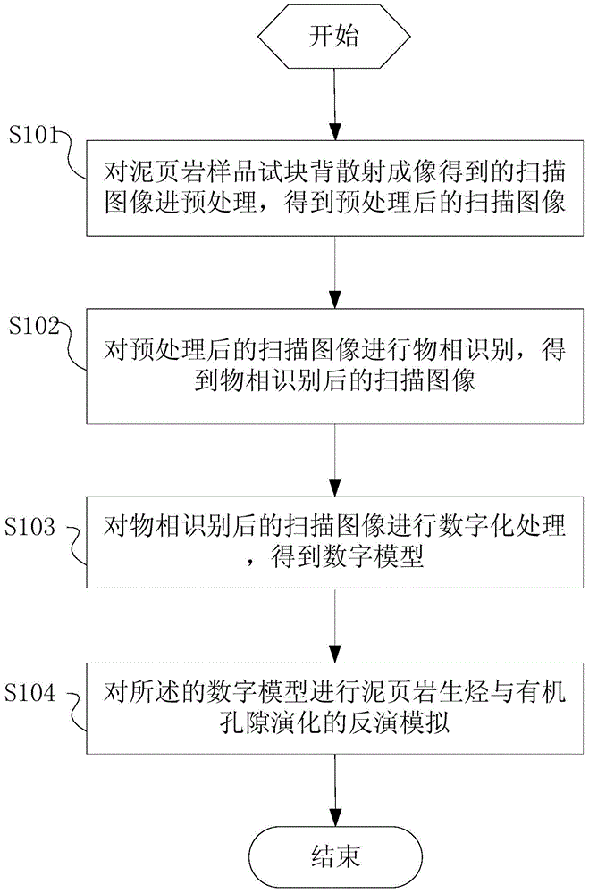 Simulation method and system of hydrocarbon generation of shale and organic pore evolution