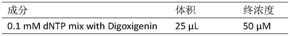 A method for identification of bloodlines containing Pseudomonas in sugarcane using subtelomeric