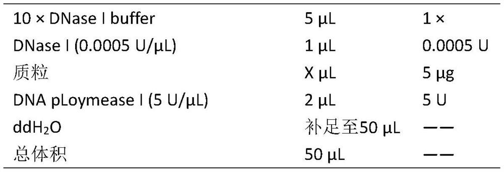 A method for identification of bloodlines containing Pseudomonas in sugarcane using subtelomeric