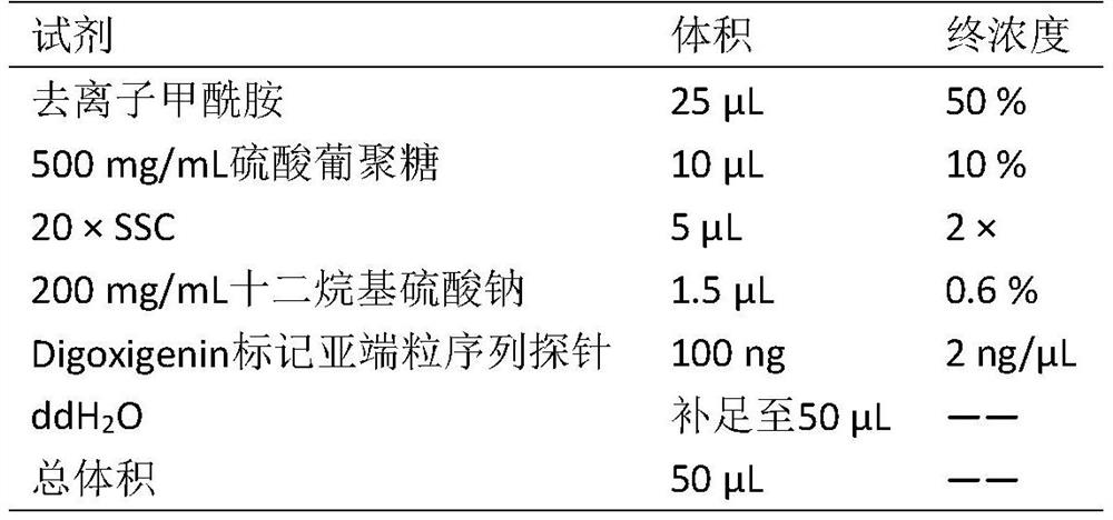 A method for identification of bloodlines containing Pseudomonas in sugarcane using subtelomeric