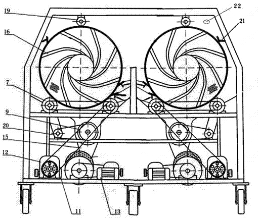 Double-barrel hot pepper pedicel cutting machine and pedicel cutting method