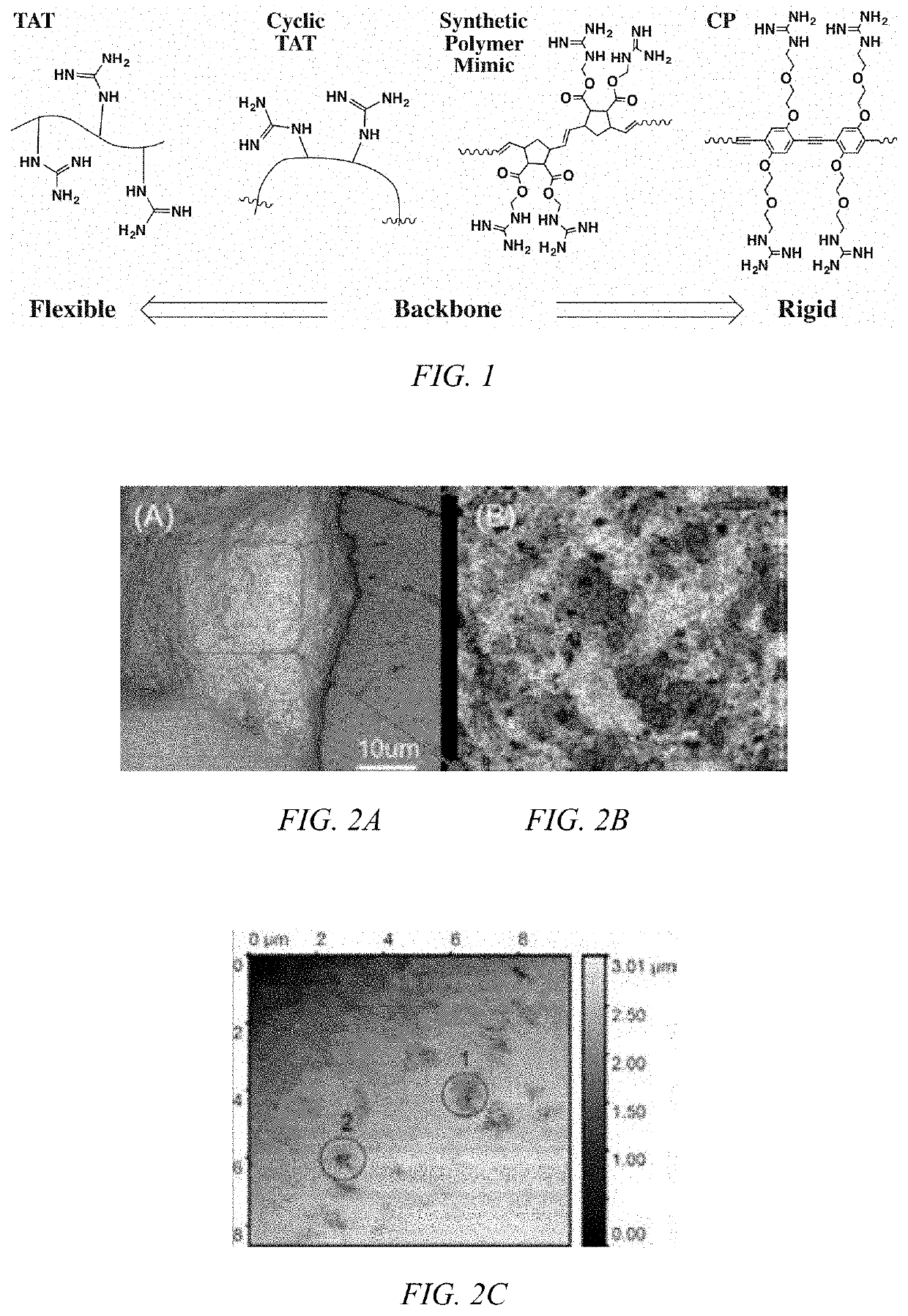 Modulated guanidine-containing polymers or nanoparticles