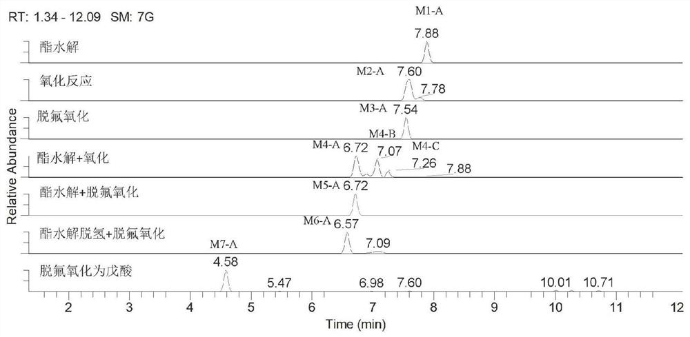 In-vivo biomarker for detecting 5F-AMB and application thereof