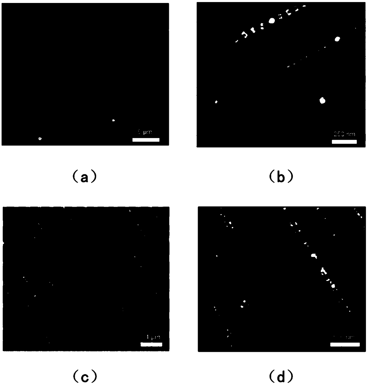 Establishing method of controllable micro-nano array based on gold and silver nanometer bricks and application thereof