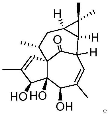 Preparation method of 20-deoxyingenol