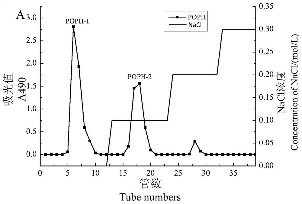 Oyster mushroom galactomannan as well as preparation method and application thereof