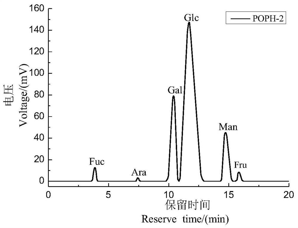 Oyster mushroom galactomannan as well as preparation method and application thereof