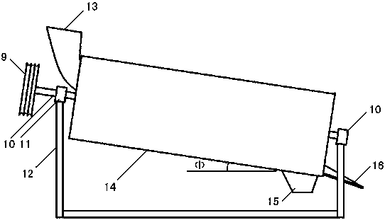 Peanut gynophore removal sorting machine