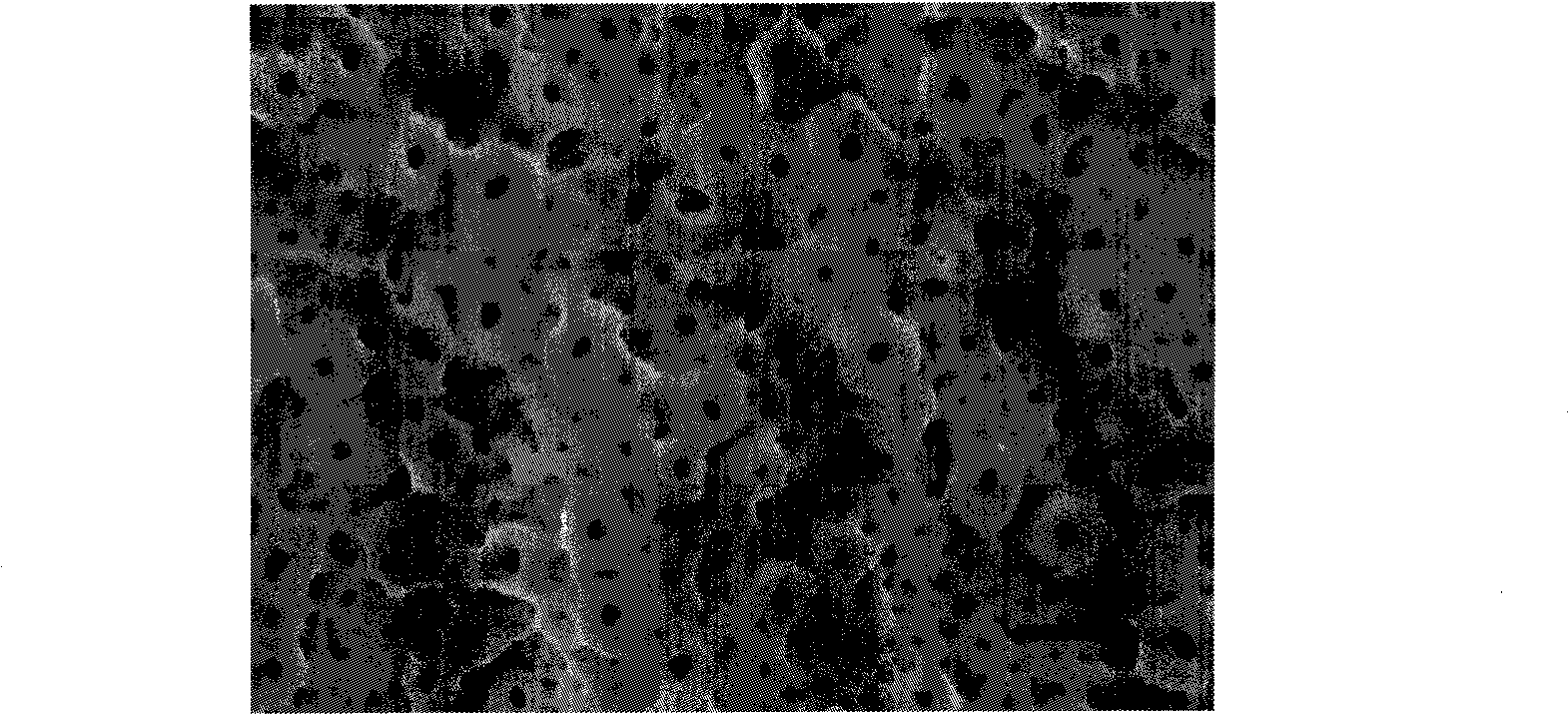 Titanium or titanium alloy with surface bioactive layer and preparation method thereof