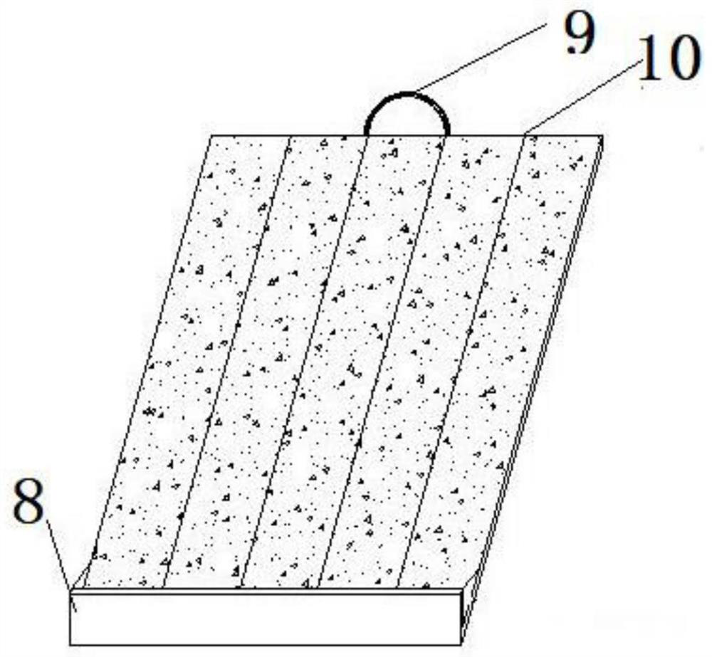 A dry dew transporting device and method for shellfish