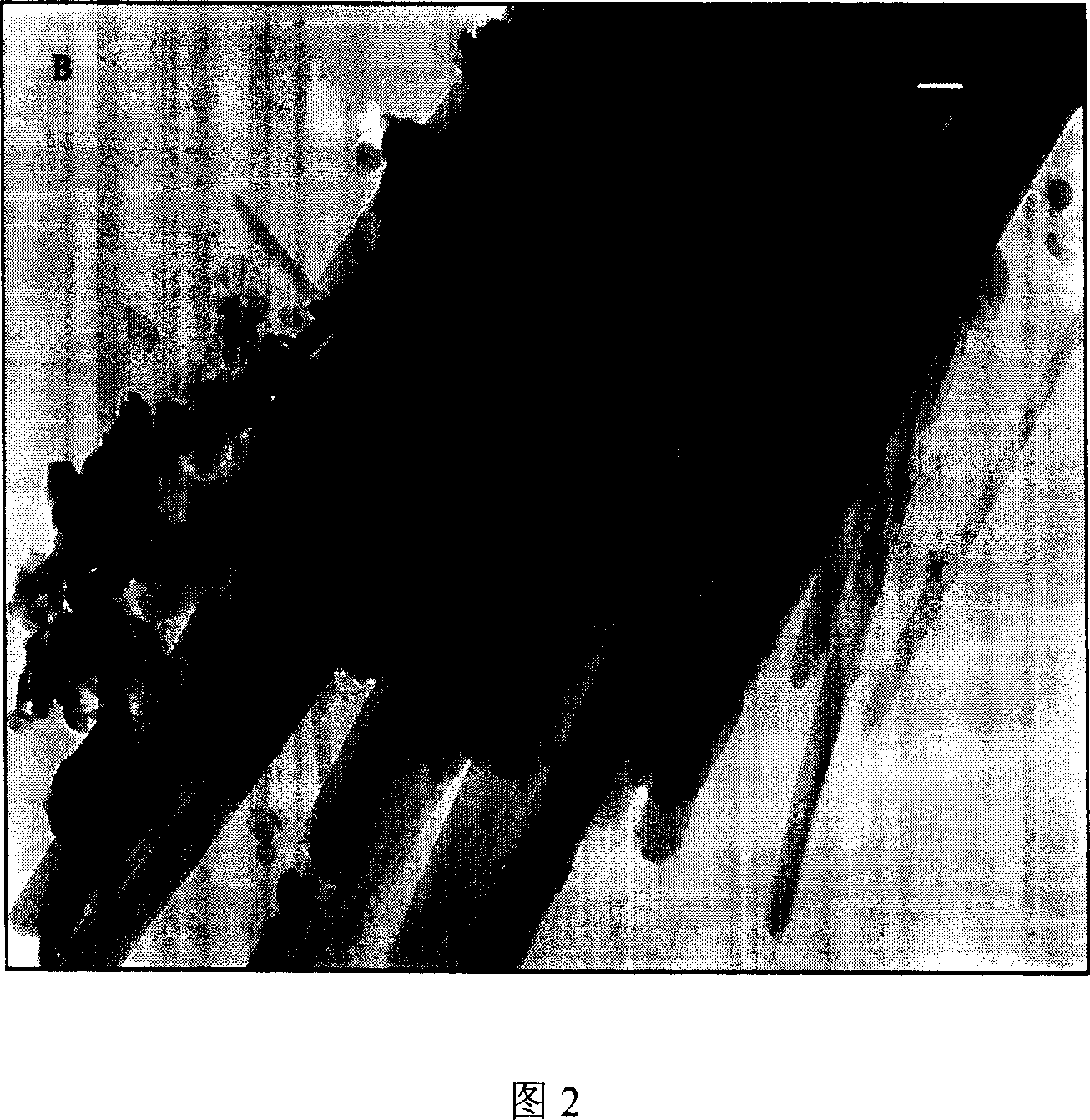 Rod hydrotalcite-like compound and its prepn process