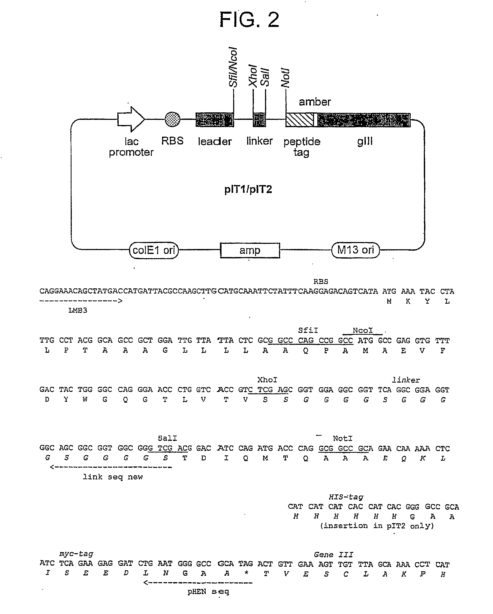 Single domain antibodies against tnfr1 and methods of use therefor