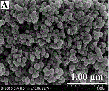 Preparation method of novel nano carbon material and electrocatalytic hydrogen production application of novel nano carbon material