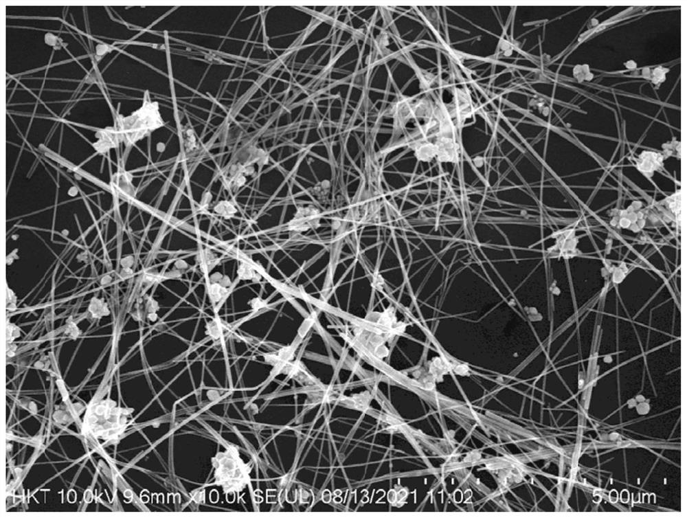 Carbon-coated silver nanowire