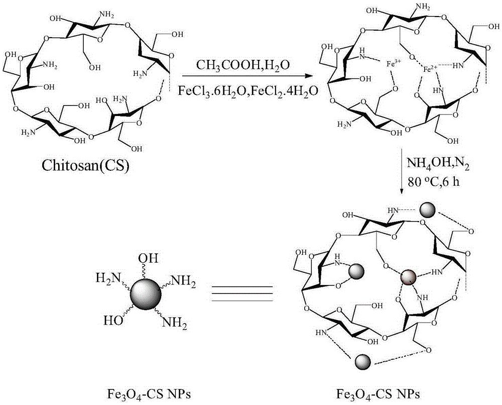 Preparation method and application of magnetic graphene oxide adsorbent material