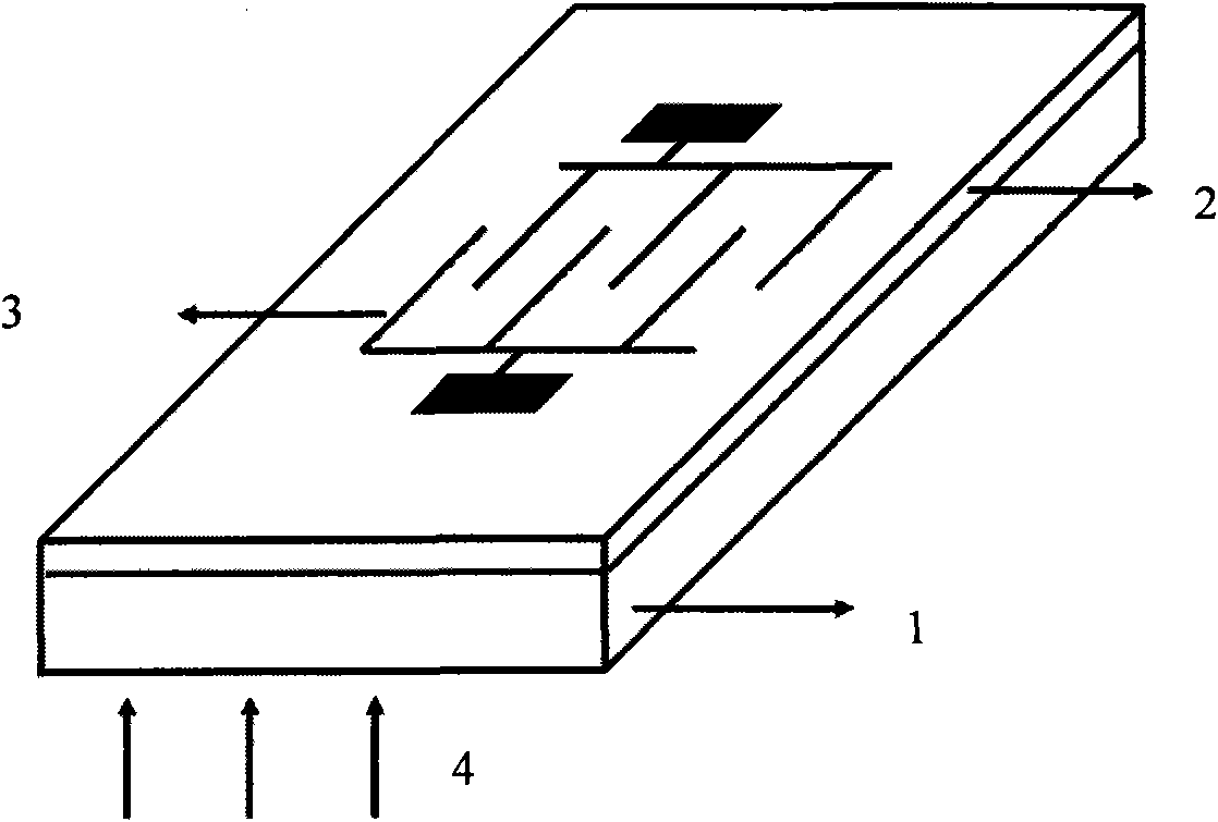 Back incident-type TiO* UV detector and preparation method thereof