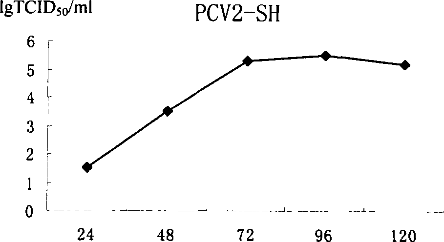 Porcine circovirus 2 type inactivated vaccine