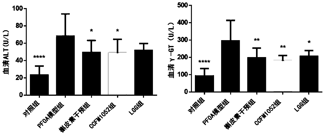 Multifunctional lactobacillus casei CCFM1052 for relieving PFOA toxic effect, and fermented food and application of multifunctional lactobacillus casei CCFM1052