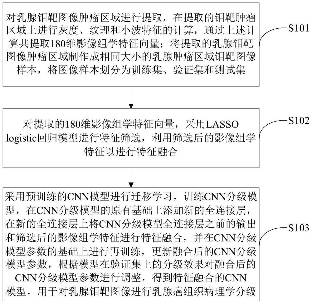 Histopathological grading method for breast cancer based on fusion of CNN and radiomics features