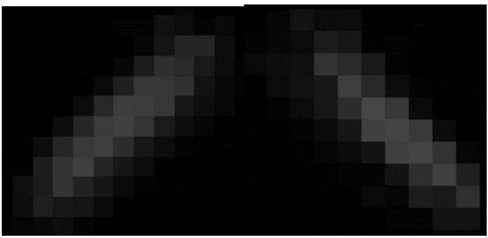 Mutual inductor infrared image recognition method based on image textual features