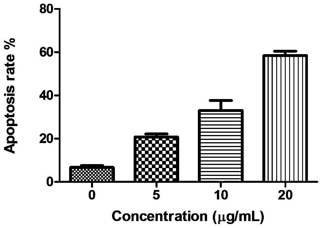 Application of trialdehyde phloroglucinol thiosemicarbazone hybrid compound in antineoplastic drugs