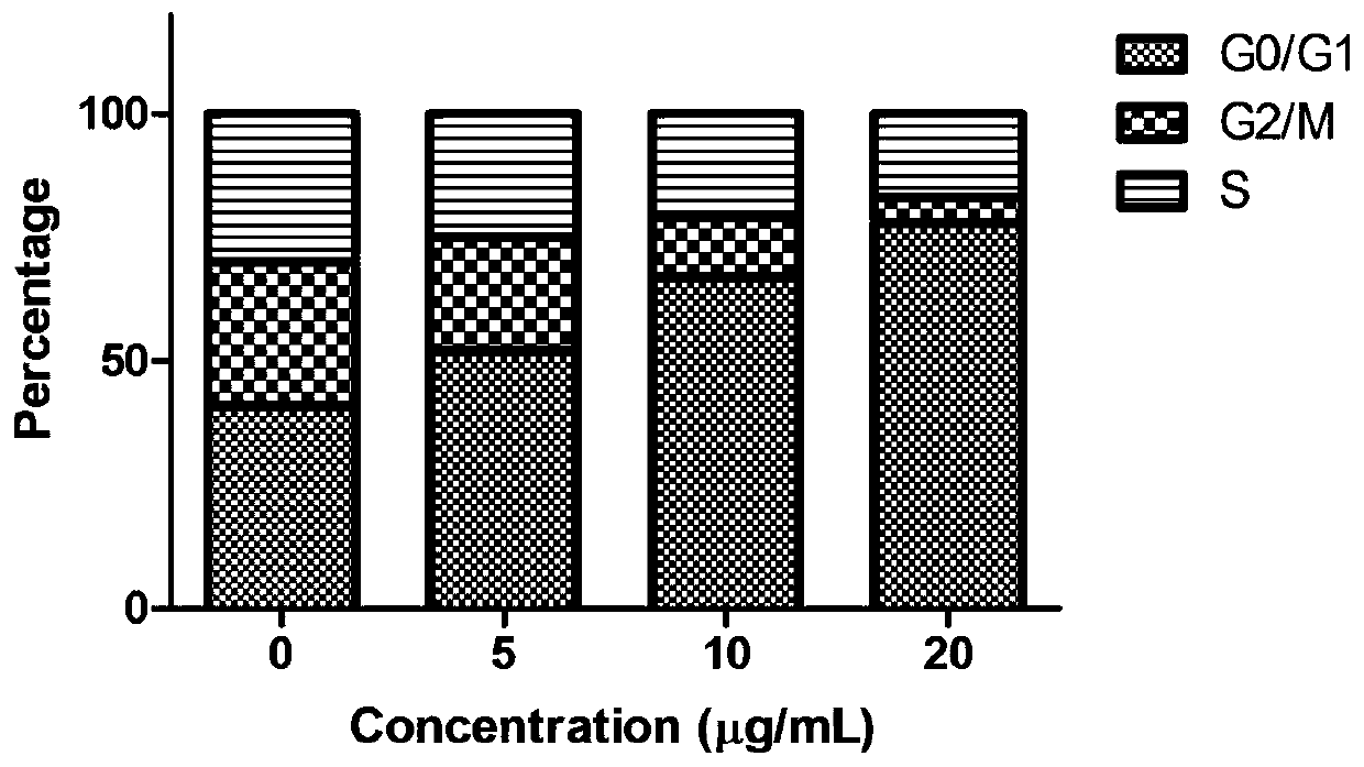 Application of trialdehyde phloroglucinol thiosemicarbazone hybrid compound in antineoplastic drugs