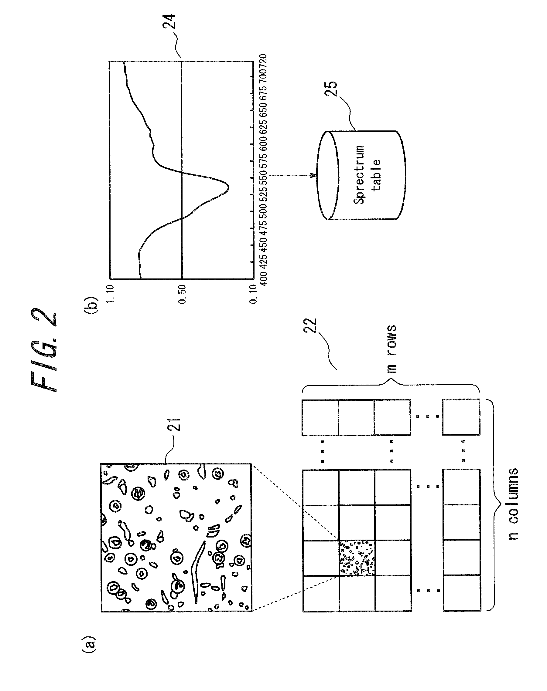 Virtual microscope system