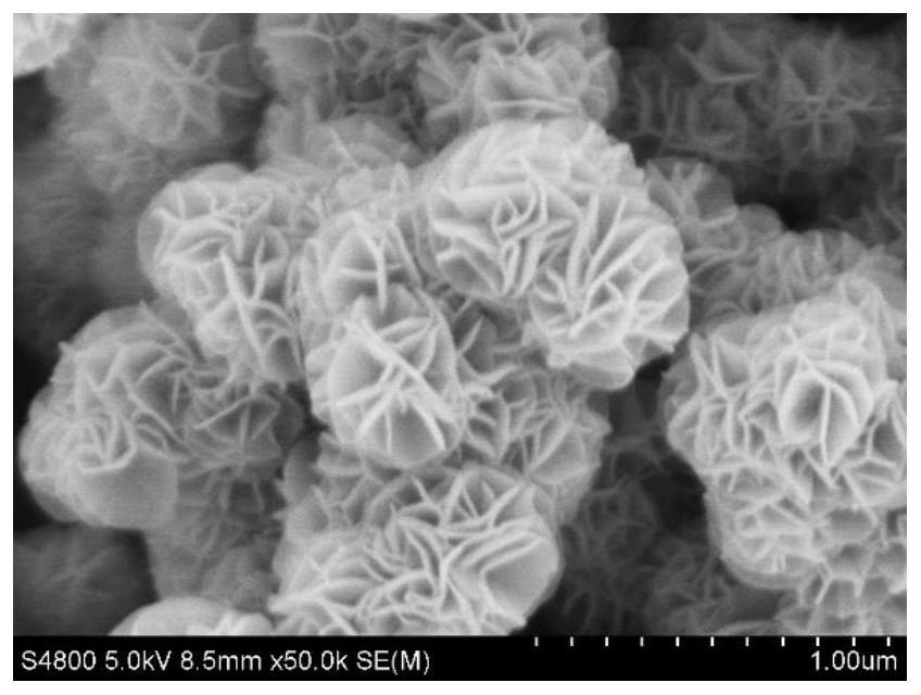 Method for controlling size of Birnessite type manganese dioxide nanoflower