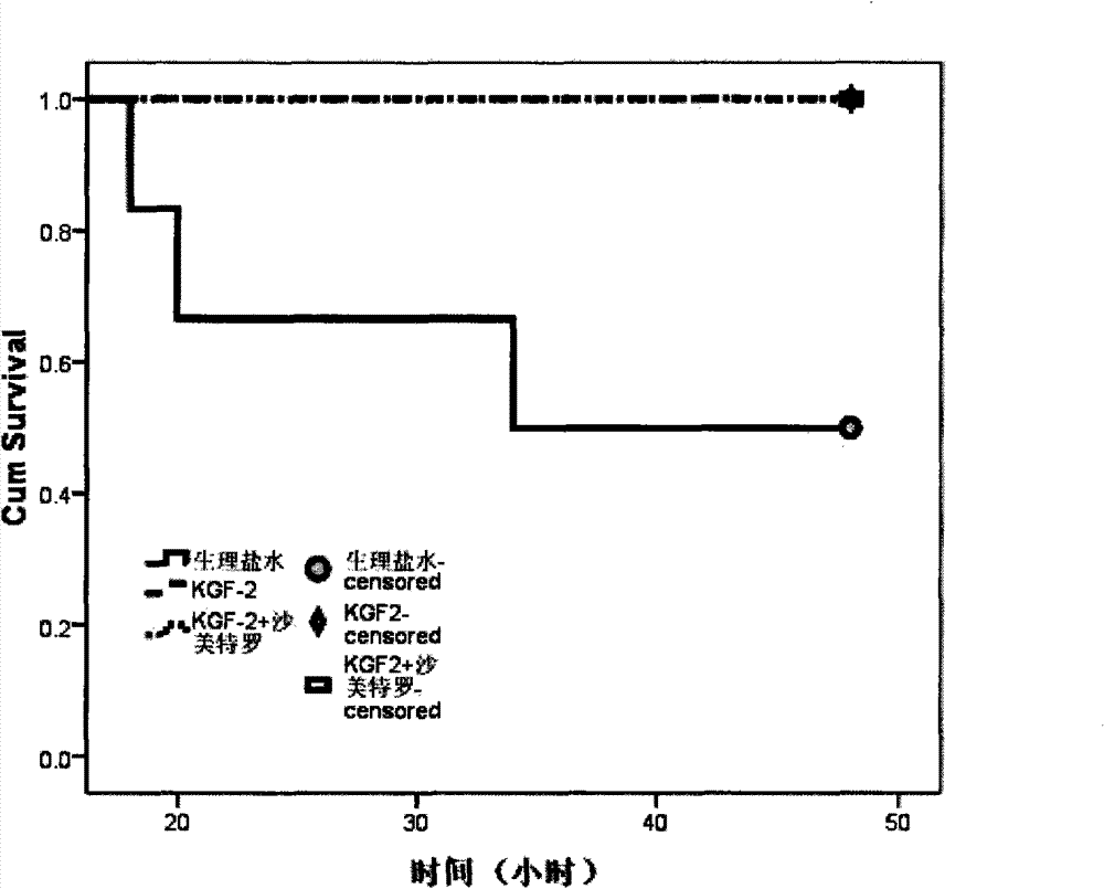 Application of keratinocyte growth factor-2 in preparation of medicines for preventing and curing lung injury