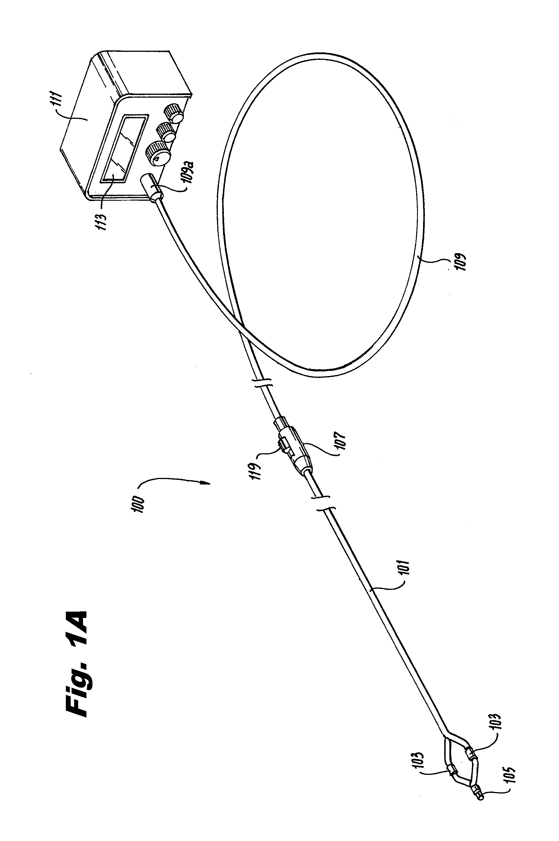 Renal denervation system