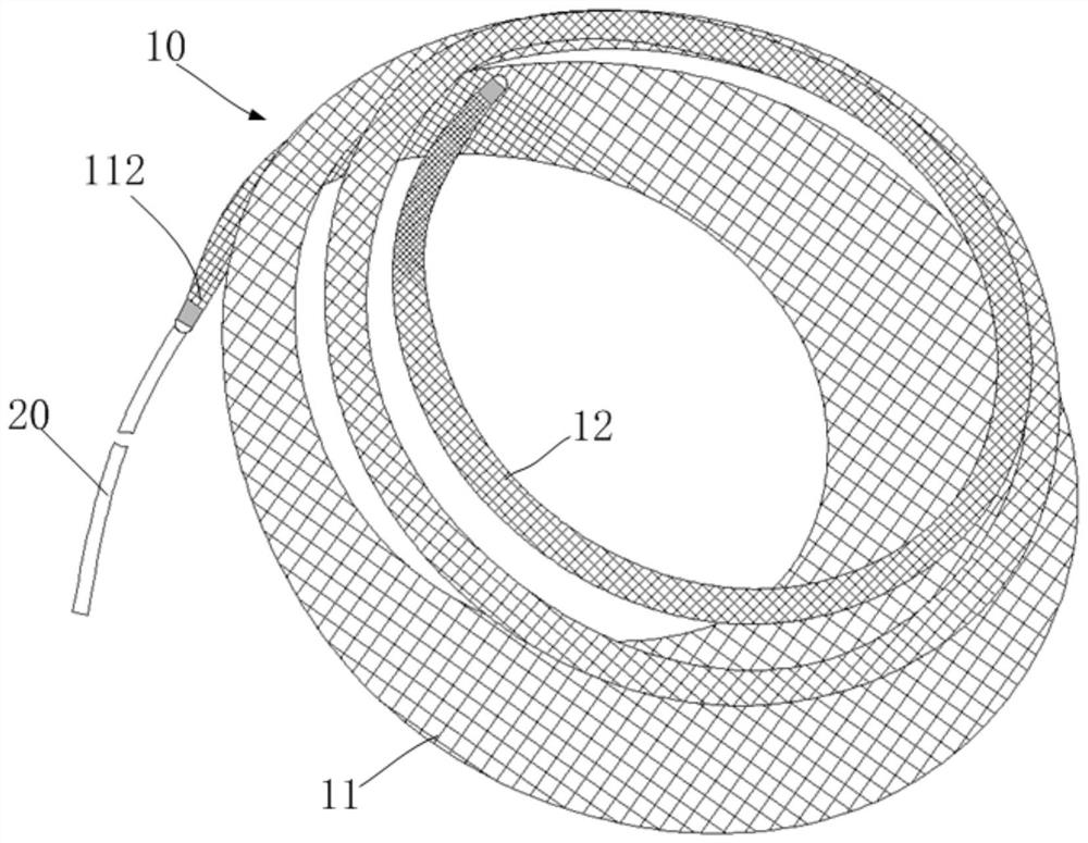 Hemangioma plugging device, hemangioma plugging treatment device and hemangioma plugging system